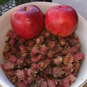 221370a6-07b4-4b5d-99e7-4197922344c6