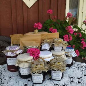 642f205e-63a1-4e68-aa90-15513bec4e87