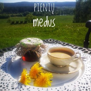 68522195-683c-41df-86c8-cb25b83b190f