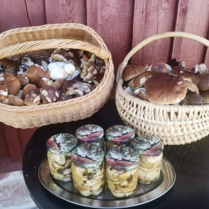 6d0e3597-035d-47e9-b280-865eabfd83cf