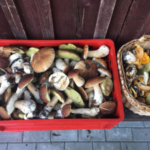 7a64263c-5564-4ceb-84a0-abed454106c8