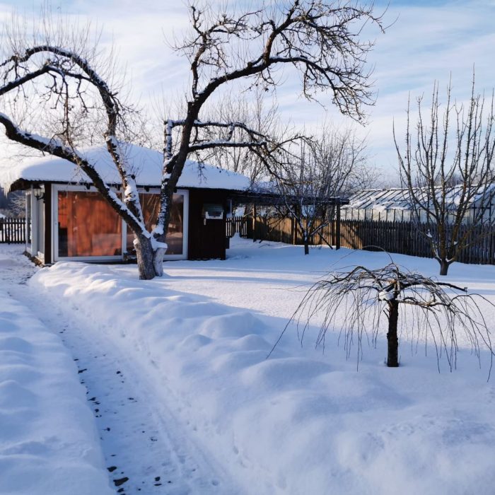 WhatsApp Image 2023-03-13 at 19.34.20