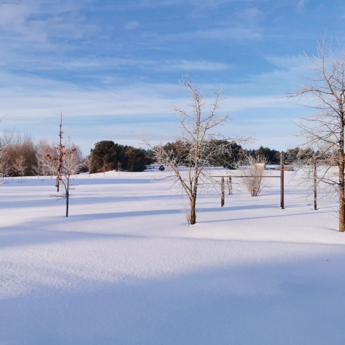 WhatsApp Image 2023-03-13 at 19.34.22 (1)