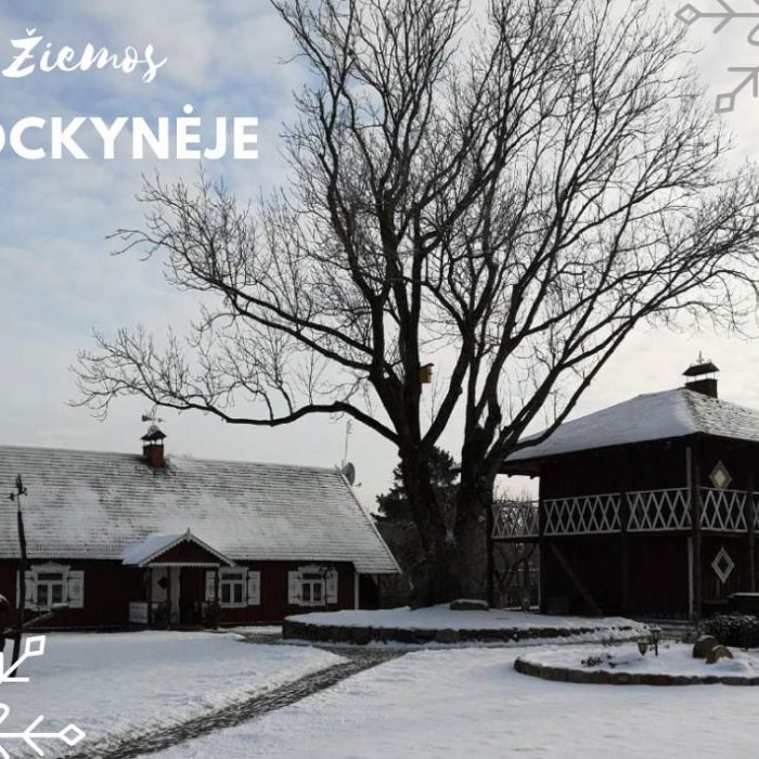 WhatsApp Image 2023-03-13 at 19.34.26