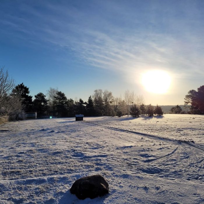 WhatsApp Image 2023-03-13 at 19.34.27