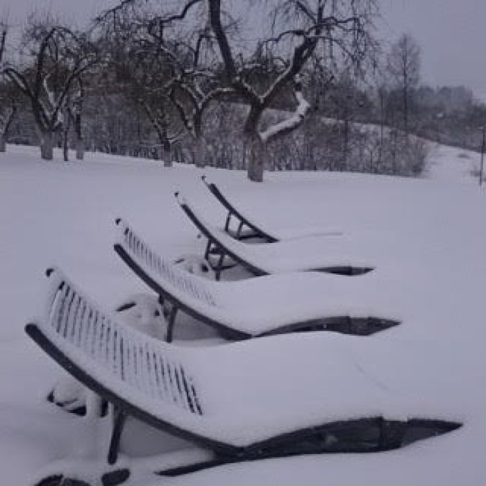 WhatsApp Image 2023-03-13 at 19.34.28 (1)