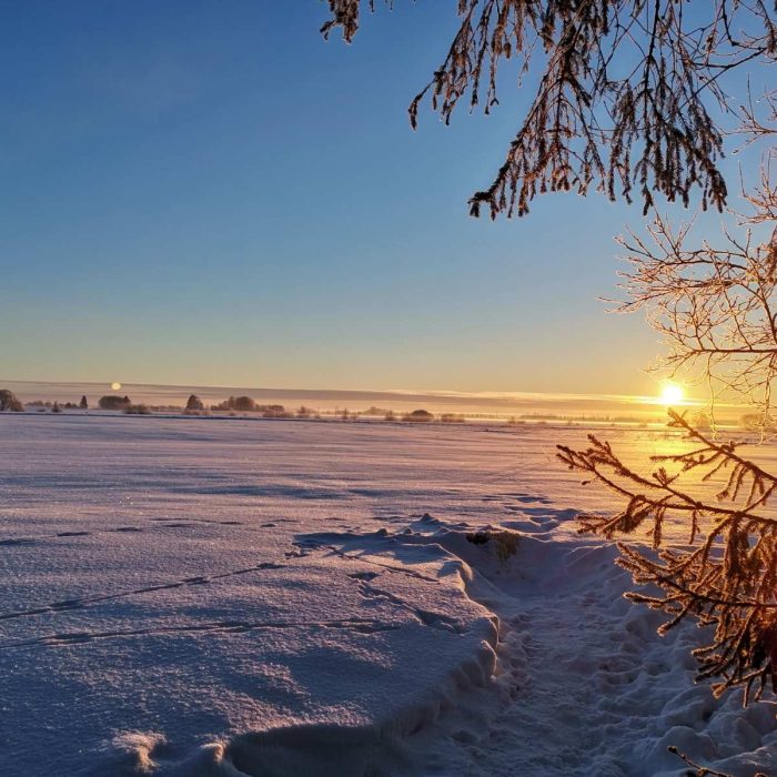 WhatsApp Image 2023-03-13 at 19.34.28