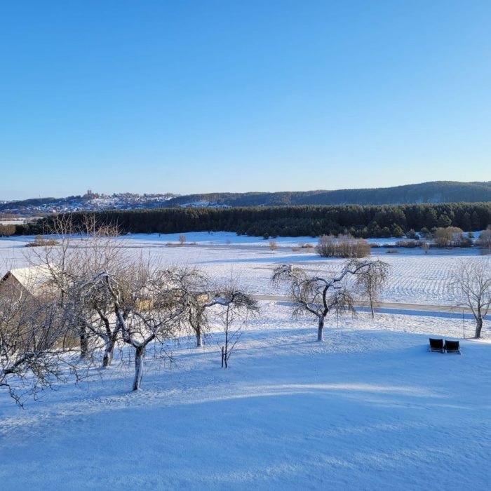 WhatsApp Image 2023-03-13 at 19.34.35