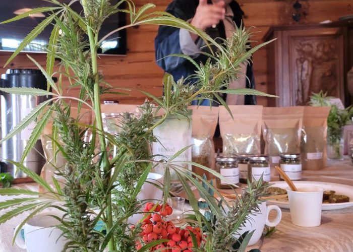 WhatsApp Image 2023-03-13 at 19.36.31