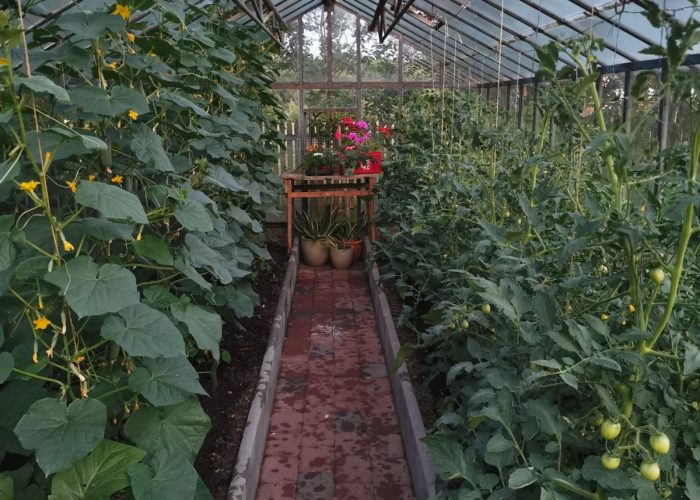 WhatsApp Image 2023-03-13 at 19.41.07