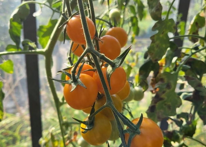 WhatsApp Image 2023-03-13 at 19.41.09