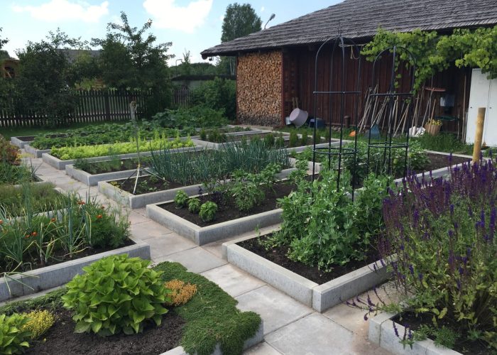 WhatsApp Image 2023-03-13 at 19.41.24