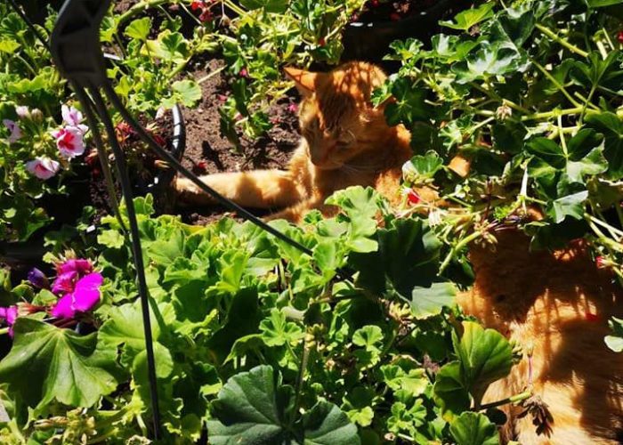 WhatsApp Image 2023-03-13 at 19.43.30