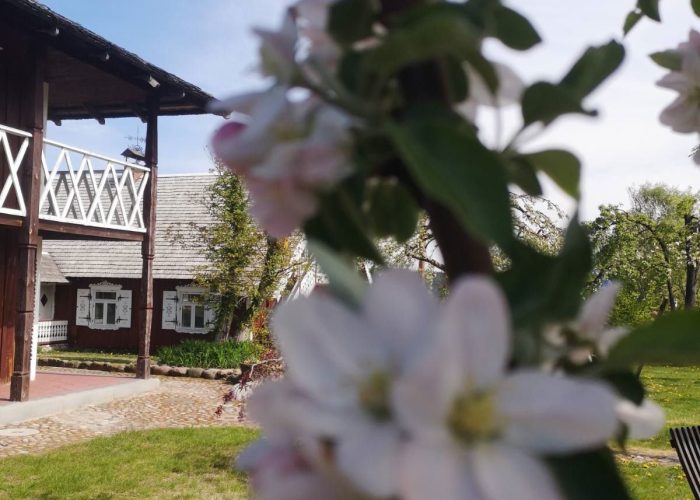 WhatsApp Image 2023-03-13 at 19.43.33