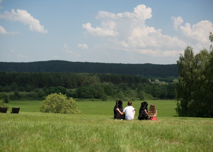 WhatsApp Image 2023-03-13 at 19.43.34