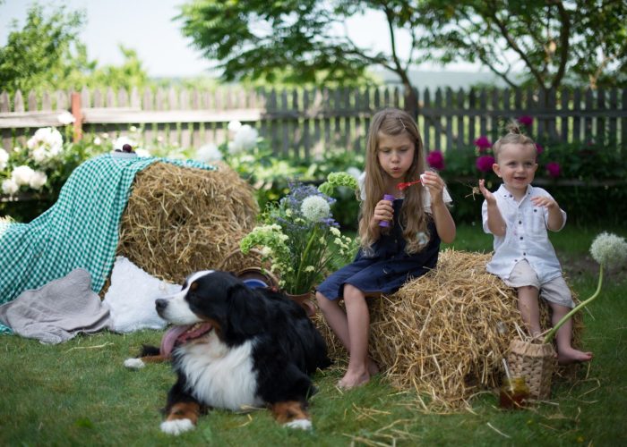 WhatsApp Image 2023-03-13 at 19.43.35