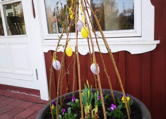 WhatsApp Image 2023-03-13 at 19.43.37