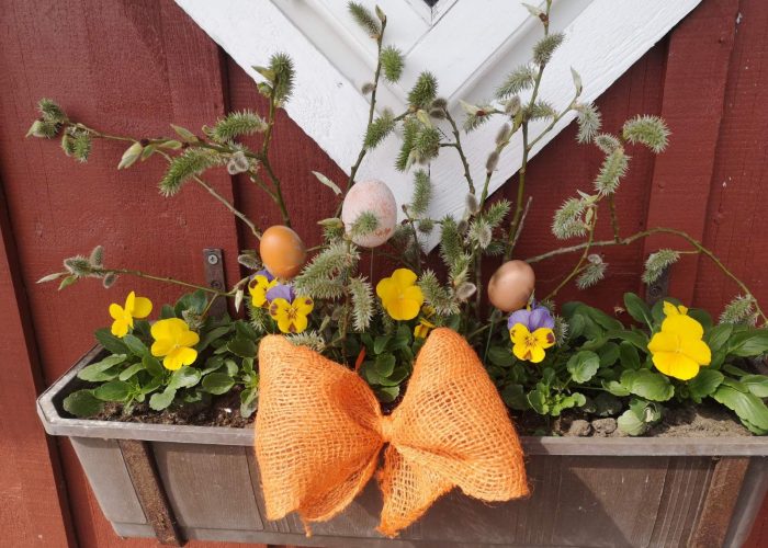 WhatsApp Image 2023-03-13 at 19.43.39 (1)