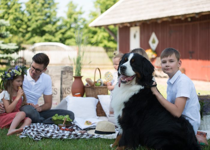 WhatsApp Image 2023-03-13 at 19.43.39