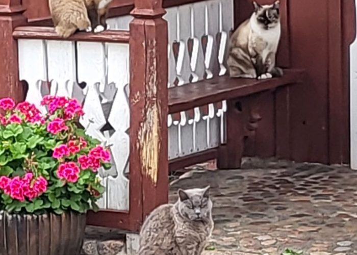 WhatsApp Image 2023-03-13 at 19.43.40