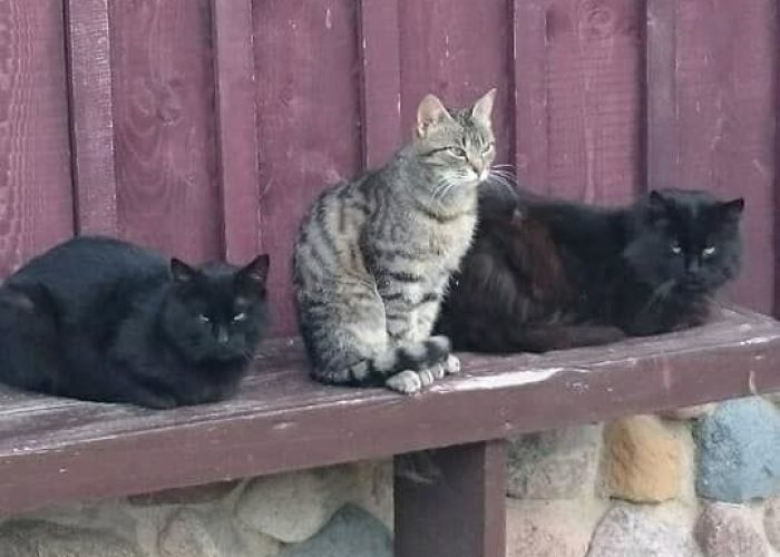 WhatsApp Image 2023-03-13 at 19.43.41