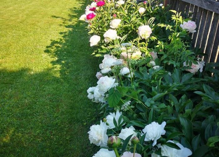 WhatsApp Image 2023-03-13 at 19.43.42