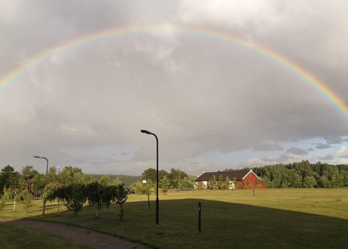 WhatsApp Image 2023-03-13 at 19.43.44