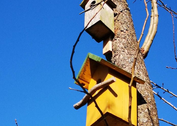 WhatsApp Image 2023-03-13 at 19.43.45