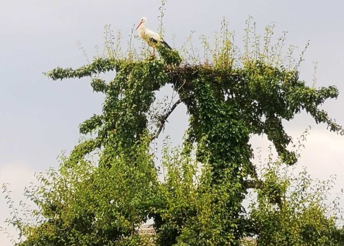 WhatsApp Image 2023-03-13 at 19.43.46