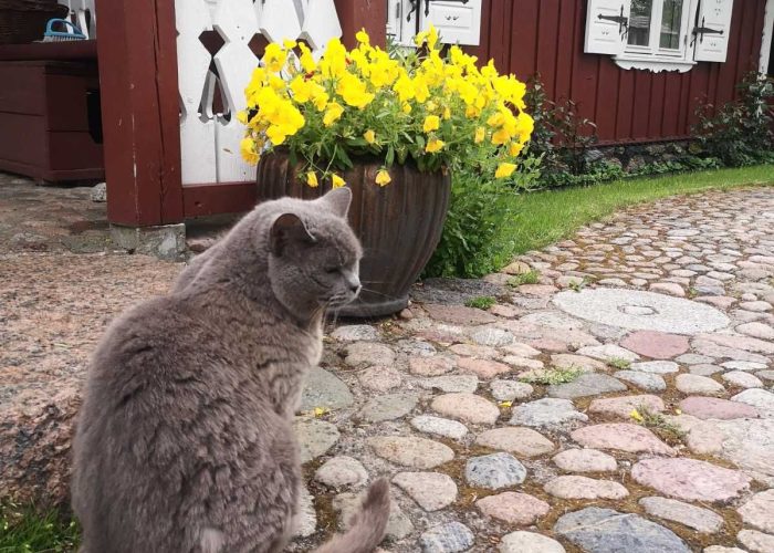 WhatsApp Image 2023-03-13 at 19.43.48