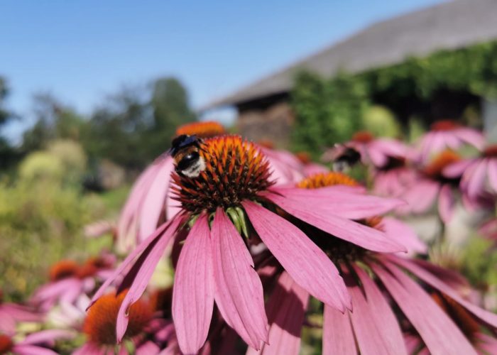 WhatsApp Image 2023-03-13 at 19.44.23