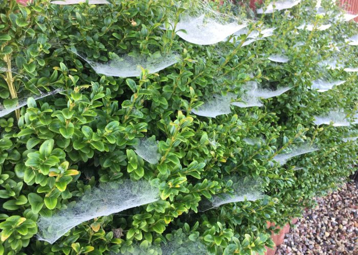 WhatsApp Image 2023-03-13 at 19.44.26