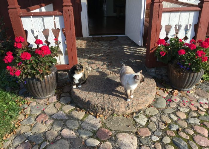 WhatsApp Image 2023-03-13 at 19.44.29 (1)