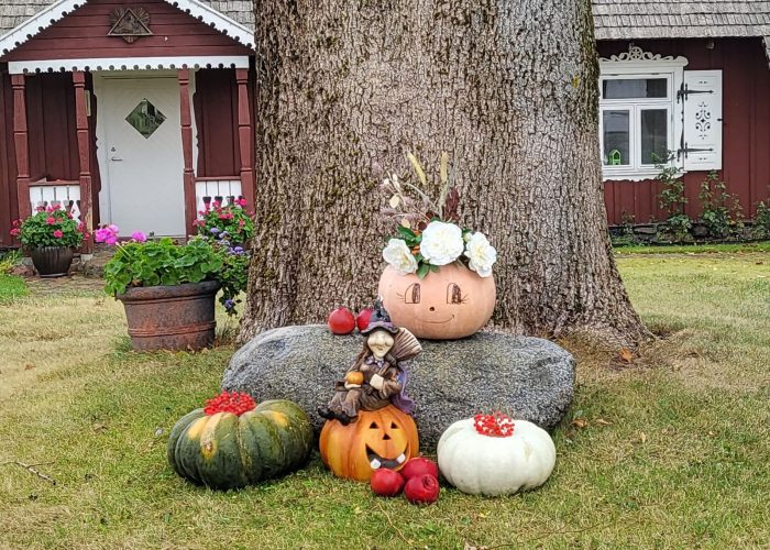 WhatsApp Image 2023-03-13 at 19.44.32