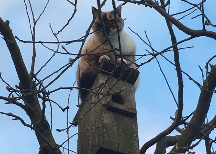 WhatsApp Image 2023-03-13 at 19.44.33 (1)