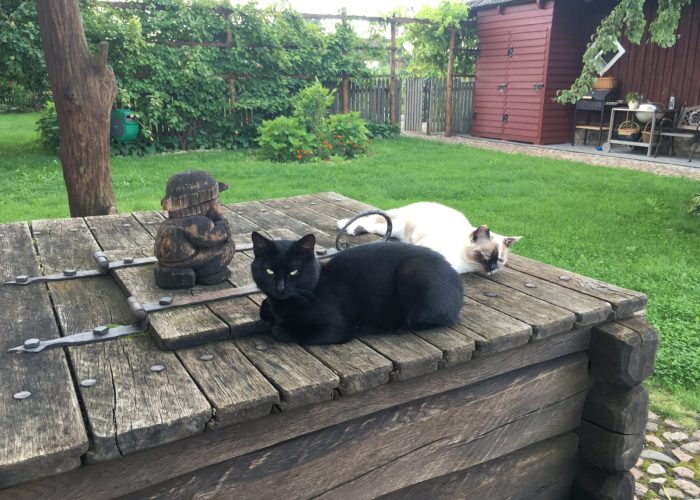 WhatsApp Image 2023-03-13 at 19.44.33