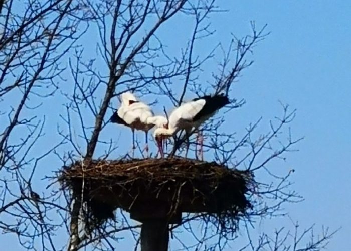 WhatsApp Image 2023-03-13 at 19.44.35 (1)