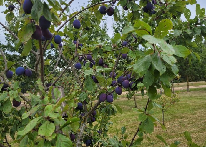 WhatsApp Image 2023-03-13 at 19.44.35