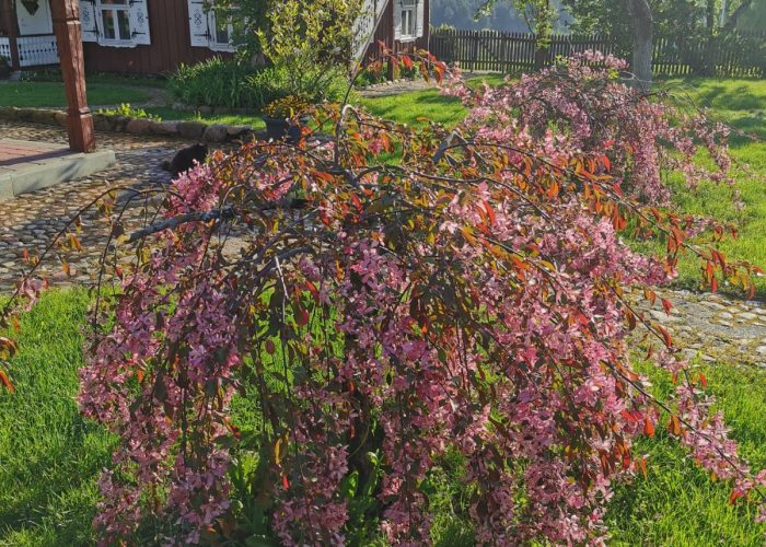 WhatsApp Image 2023-03-13 at 19.44.37