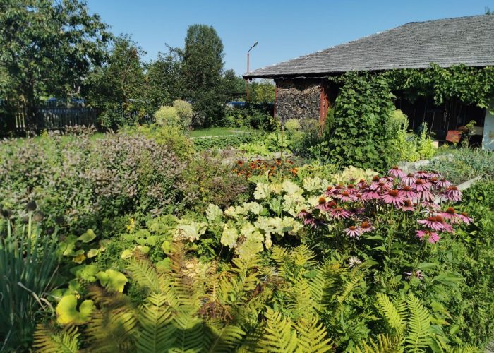 WhatsApp Image 2023-03-13 at 19.44.38