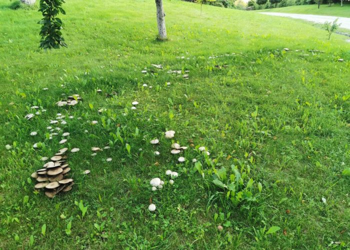 WhatsApp Image 2023-03-13 at 19.44.42