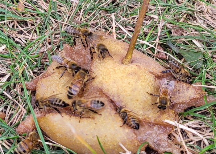 WhatsApp Image 2023-03-13 at 19.44.44