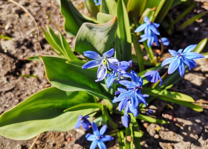 WhatsApp Image 2023-03-13 at 19.44.46 (1)