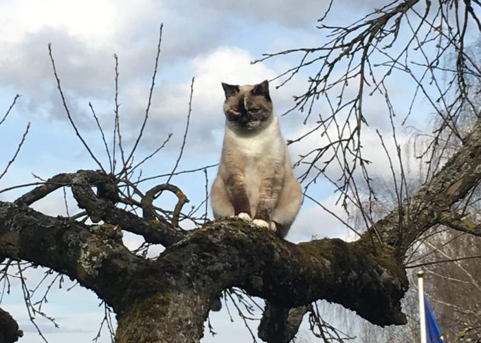 WhatsApp Image 2023-03-13 at 19.44.46