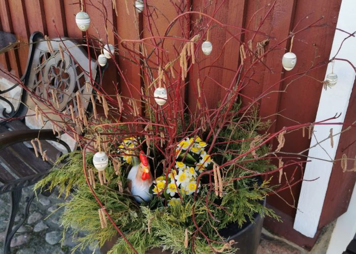 WhatsApp Image 2023-03-13 at 19.44.48