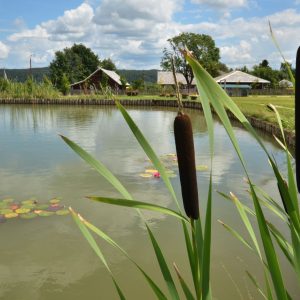 WhatsApp Image 2023-03-21 at 13.44.02