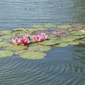 WhatsApp Image 2023-03-21 at 13.44.05