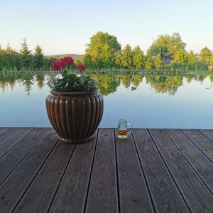 WhatsApp Image 2023-03-21 at 13.44.11