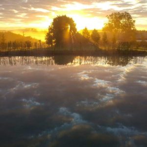 WhatsApp Image 2023-03-21 at 13.44.12