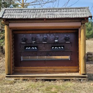 WhatsApp Image 2023-03-21 at 13.46.55